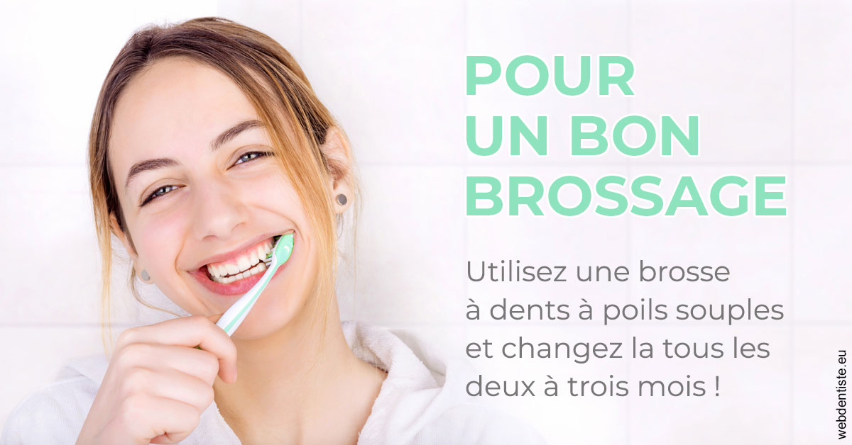 https://www.orthodontie-rosilio.fr/Pour un bon brossage 2