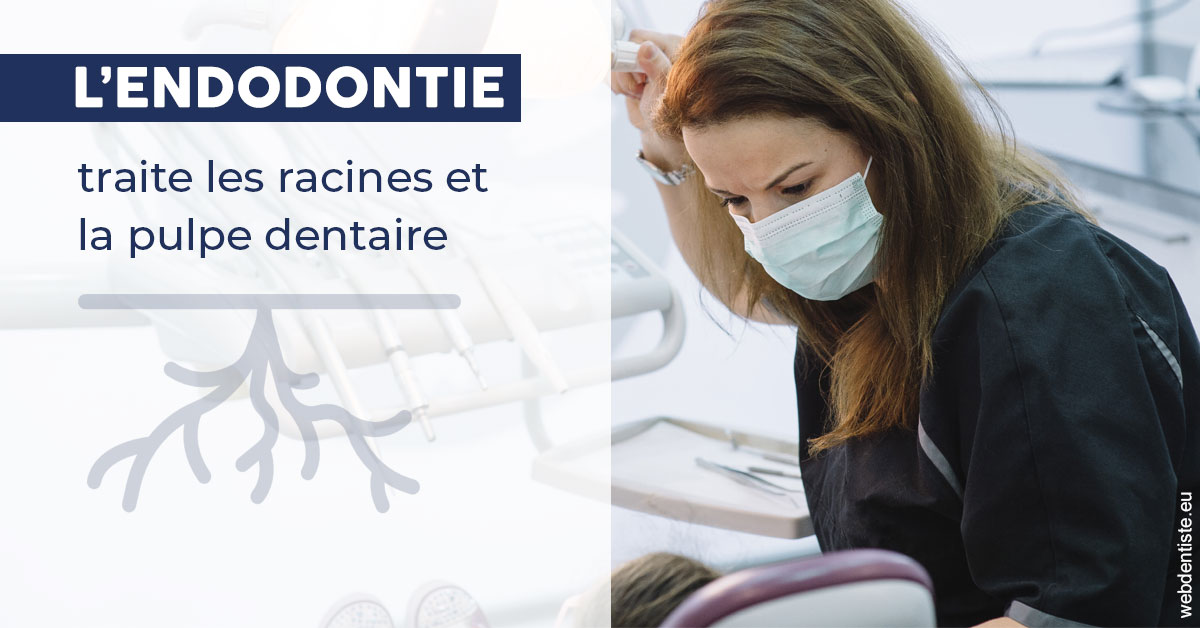 https://www.orthodontie-rosilio.fr/L'endodontie 1