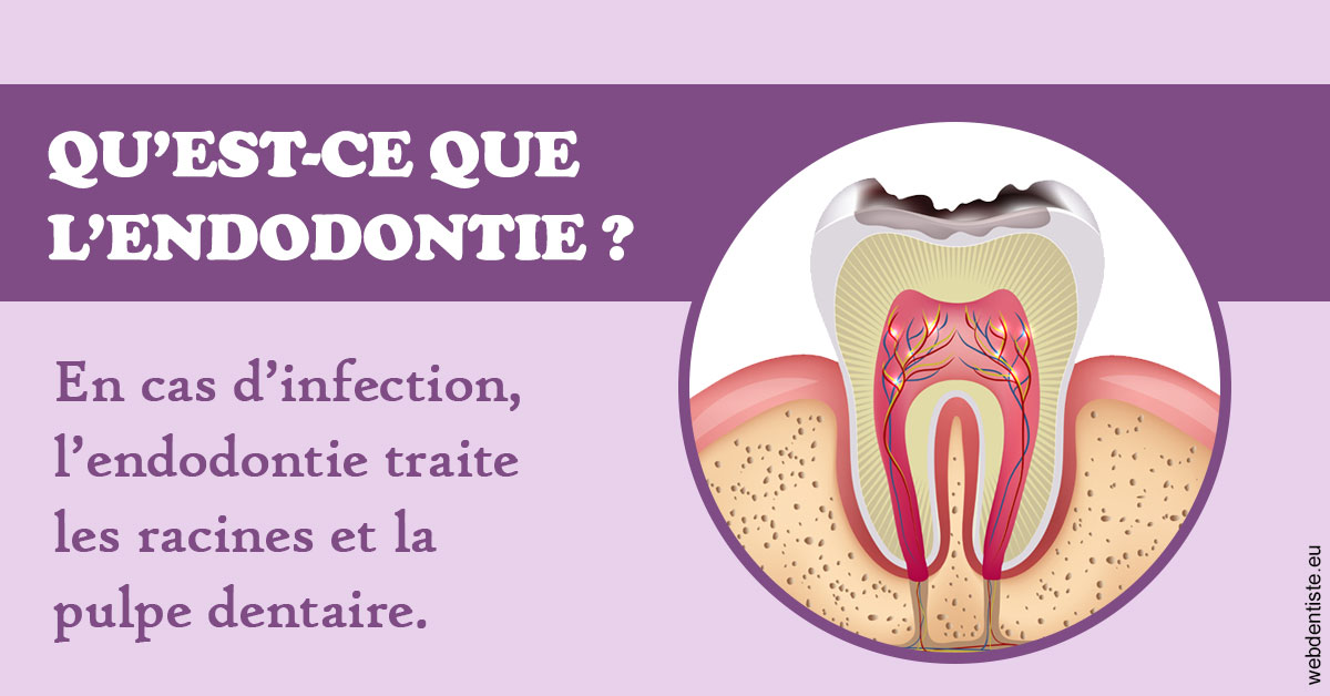 https://www.orthodontie-rosilio.fr/2024 T1 - Endodontie 02