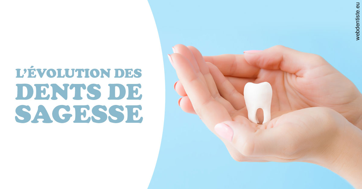 https://www.orthodontie-rosilio.fr/Evolution dents de sagesse 1