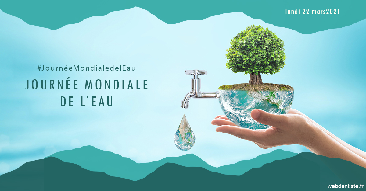 https://www.orthodontie-rosilio.fr/Journée de l'eau 1