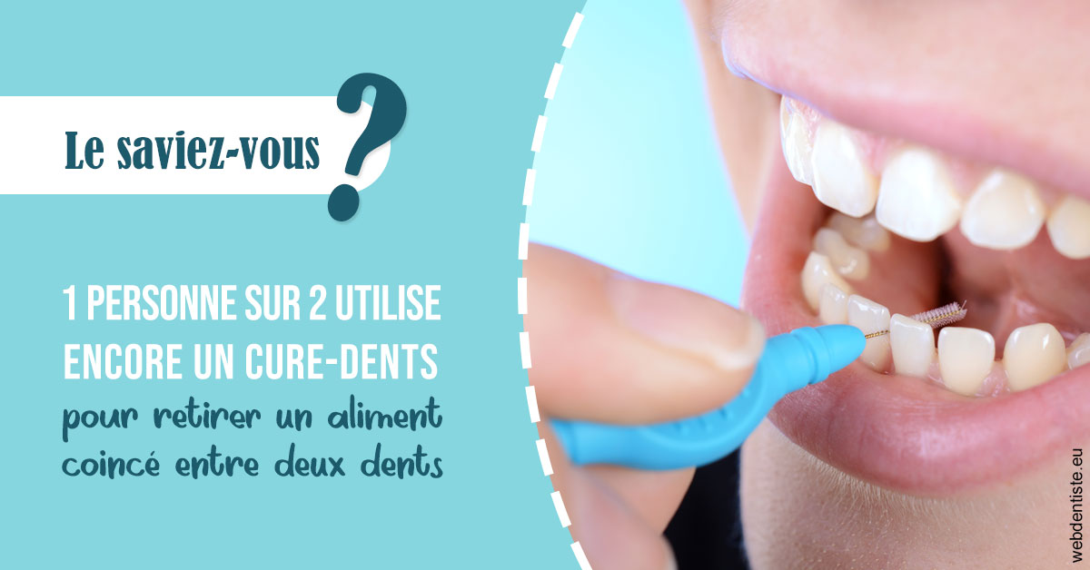 https://www.orthodontie-rosilio.fr/Cure-dents 1