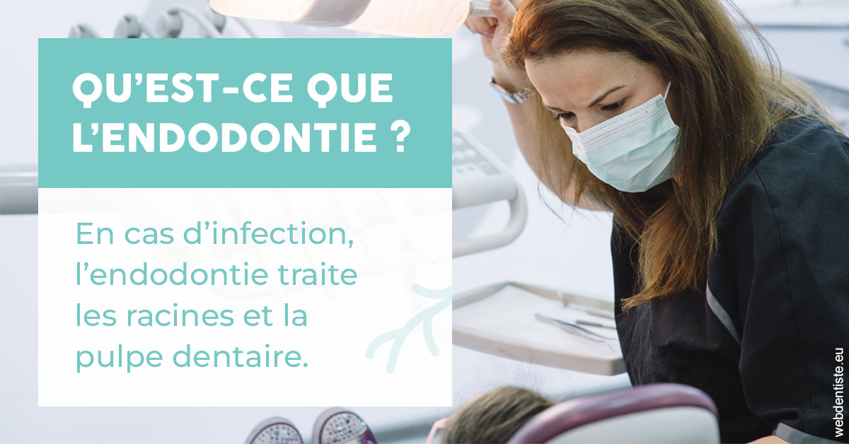 https://www.orthodontie-rosilio.fr/2024 T1 - Endodontie 01